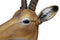 Ebros African Kudu Antelope Taxidermy Wall Mount Sculpture Plaque Figurine 24"H