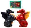 Ebros Twin Feng Shui Yin Yang Dragons Ceramic Magnetic Salt Pepper Shakers Set