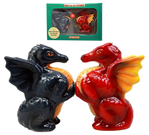 Ebros Twin Feng Shui Yin Yang Dragons Ceramic Magnetic Salt Pepper Shakers Set