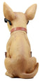 Ebros Gift Que Paso Summer Sun Tanning Chihuahua Dog Statue Carefree Puppy with Cool Shades Welcome Greeter Figurine