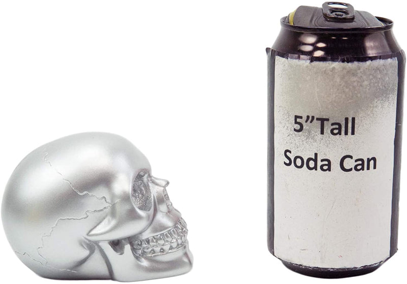 Ebros Pirate's Loot Graveyard Human Skull Figurine 3.75"L (Metallic Silver)