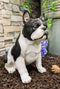 Realistic Sitting Black French Bulldog Puppy Dog With Glass Eyes Statue Pet Pal