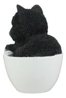 Lifelike Tuxedo Black and White Cat In Teacup Pet Pal Statue With Glass Eyes