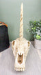 Ebros Fossil Unicorn Skull Rare Mythical Phantom Creature Skeleton Figurine