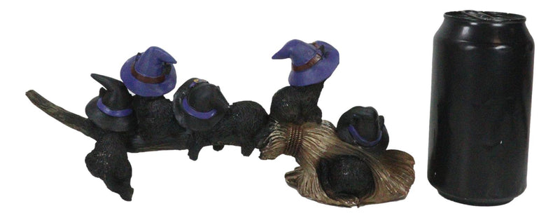 Halloween 5 Black Kitten Cats With Witch Hat Riding Magical Broomstick Figurine