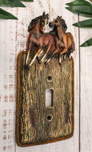 Set Of 2 Novelty Western Country Equine Horses Single Toggle Switch Plates