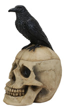 Ebros Black Raven Perched on Ancient Human Skull Trinket Box Container Figurine