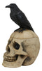 Ebros Black Raven Perched on Ancient Human Skull Trinket Box Container Figurine