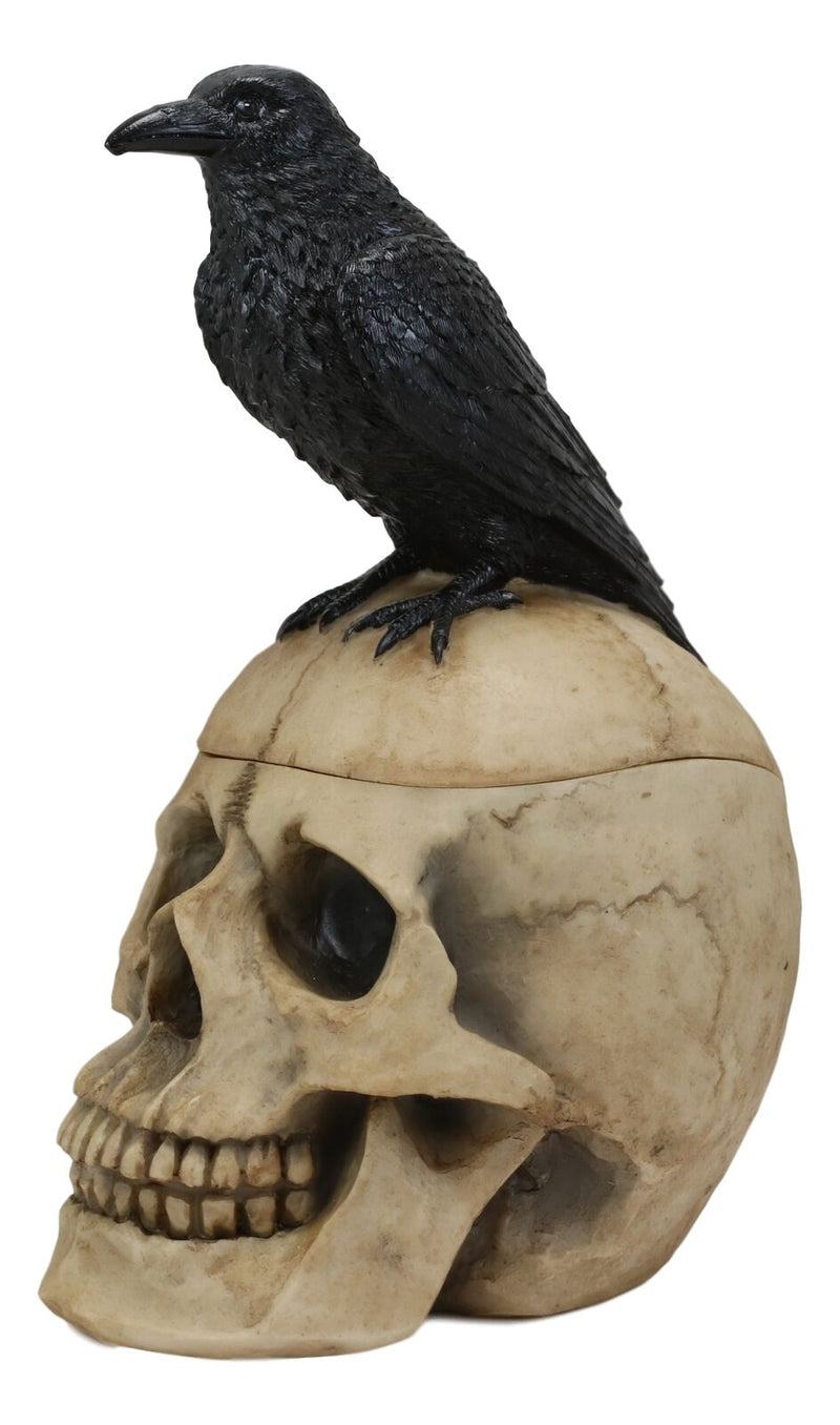 Ebros Black Raven Perched on Ancient Human Skull Trinket Box Container Figurine