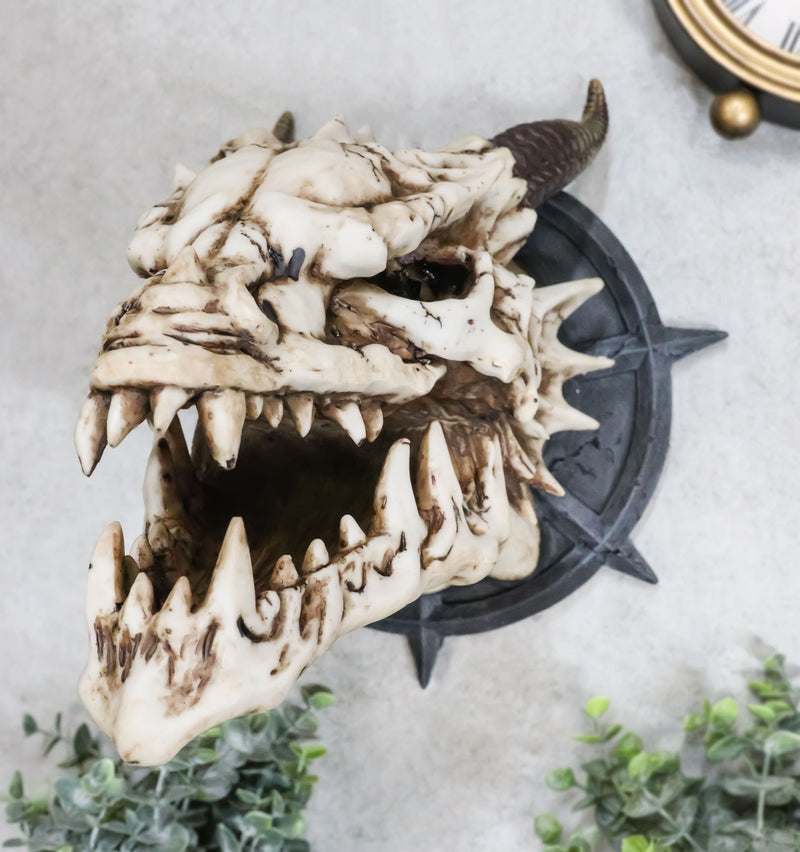 Large Chained Horned Dragon Skull Wall Trophy Decor Saint George Slain Dragon