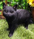 Large Lifelike Mystical Standing Black Cat Kitten Statue With Glass Eyes15"L