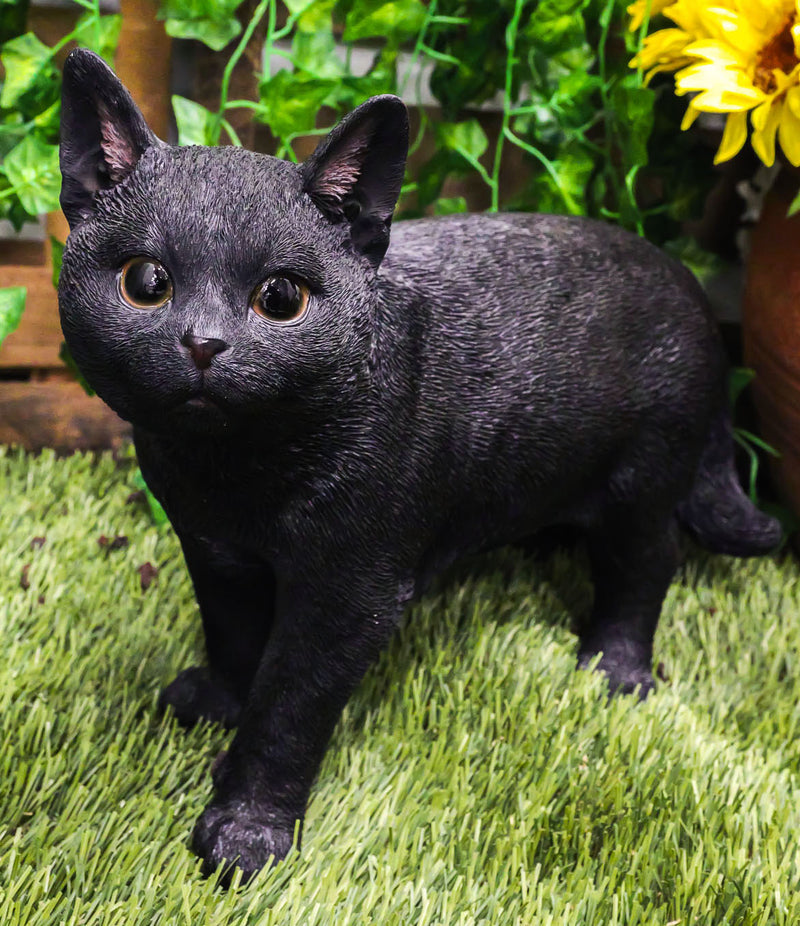 Large Lifelike Mystical Standing Black Cat Kitten Statue With Glass Eyes15"L