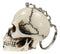 Pack of 12 Novelty Bone Colored Jointed Homosapien Cranium Skulls Keychains