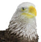 Realistic American Pride Patriotic Bald Eagle Perching On Wood Stock Statue 17"H