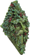 Ebros Summer Berry Celtic Greenman Hanging Wall Sculpture Decor Plaque 9" High