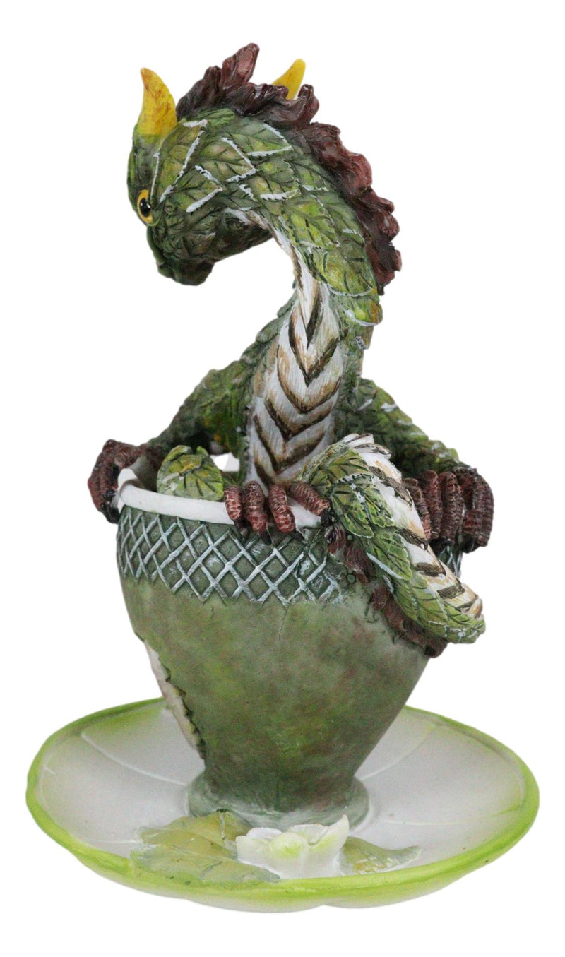 Fantasy English Green Tea Leaves And Flowers Dragon In Teacup & Saucer Figurine