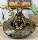 Western Rustic Texas Wild Armadillo Sitting in Cowboy Hat Decorative Figurine