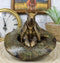 Western Rustic Texas Wild Armadillo Sitting in Cowboy Hat Decorative Figurine