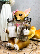 Ebros Bonita Pretty In Pink Girl Chihuahua Dog Salt And Pepper Shakers Holder