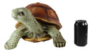 Large Lifelike Galapagos Tortoise Turtle Statue 16.5"Wide Lucky Fortune Talisman