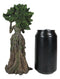 Celtic Greenman Tree Woman Gaia Dryad Ent Native Morning Beauty Sunrise Figurine
