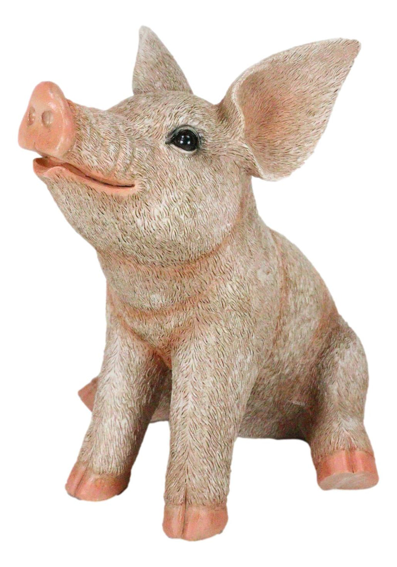 Large Country Farmhouse Adorable Realistic Animal Farm Babe Pig Sitting Statue