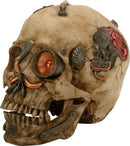 Steampunk Machine Dark Light Nude Colored Closed Mouth Skull Figurine 7.25"L