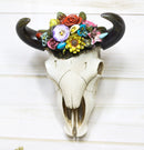 Set of 2 Southwestern Bull Cow Steer Skulls With Colorful Succulent Wall Decors