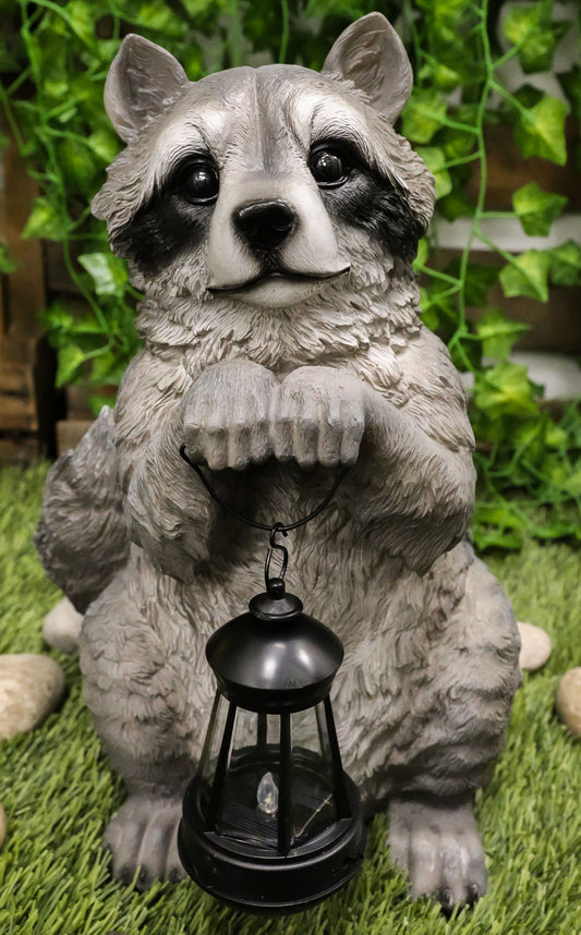 Ebros Night Bandit American Raccoon Statue Holding Solar Lantern LED Light 15"H - Ebros Gift
