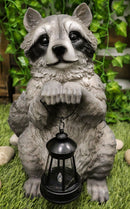 Ebros Night Bandit American Raccoon Statue Holding Solar Lantern LED Light 15"H
