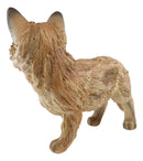 Ebros Realistic Faux Driftwood Finish Snooping Baby Fox Cub Resin Statue 10.5" L