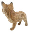 Ebros Realistic Faux Driftwood Finish Snooping Baby Fox Cub Resin Statue 10.5" L