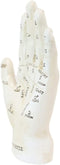 Ebros Psychic Fortune Teller Chirology Palmistry Hand Palm Figurine (White) - Ebros Gift