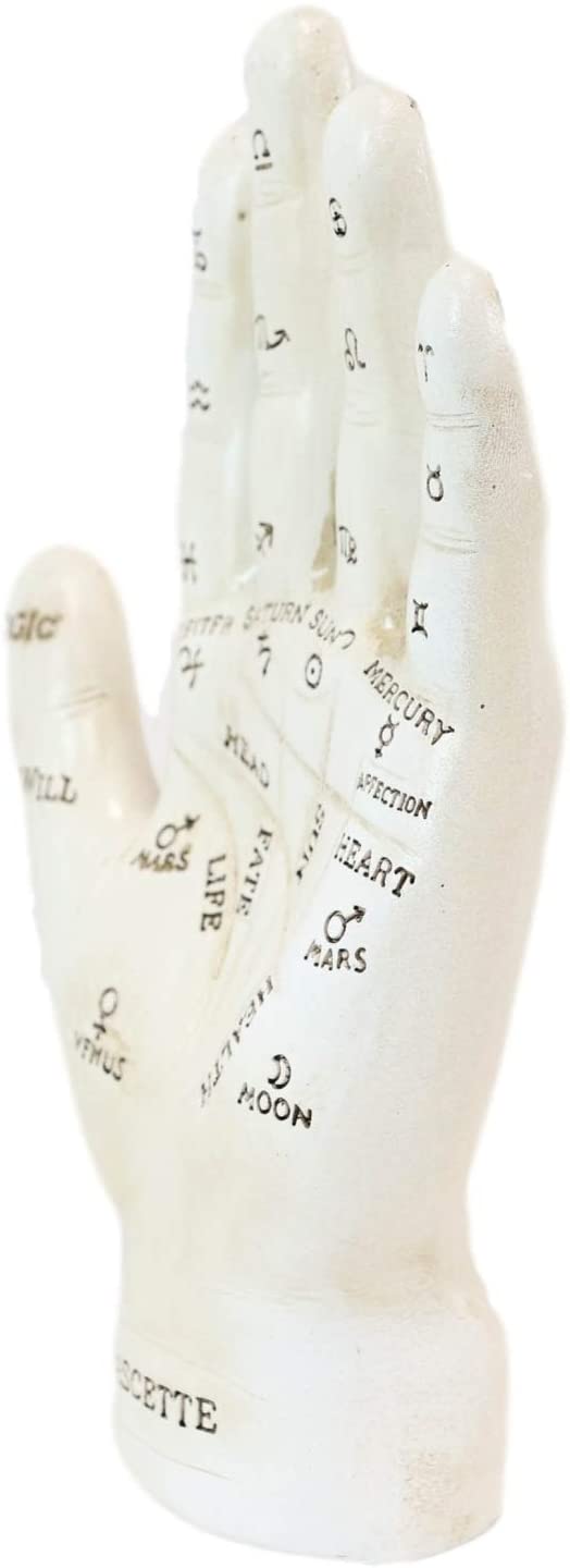 Ebros Psychic Fortune Teller Chirology Palmistry Hand Palm Figurine (White) - Ebros Gift