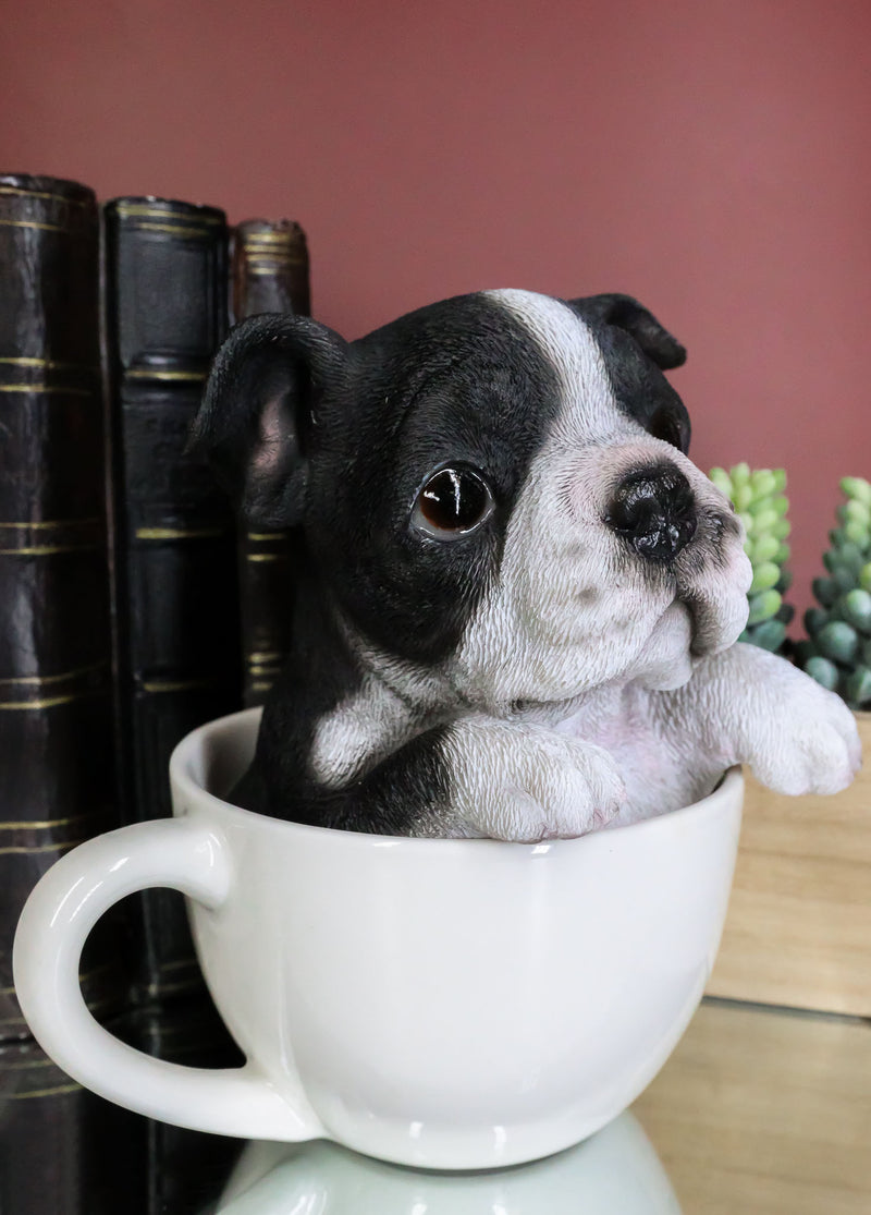 Ebros Realistic Boston Terrier Teacup Statue Pet Pal Tuxedo Gentleman Dog Figurine
