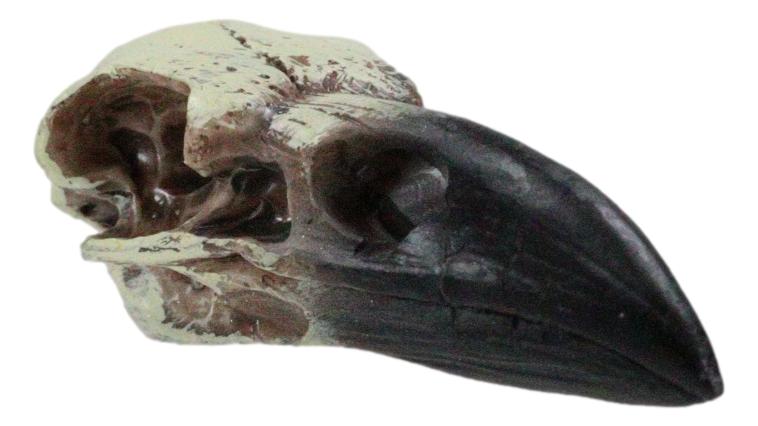 Pack Of 3 Gothic Reliquary Raven Crow Skull Small Pendant Talisman Figurines