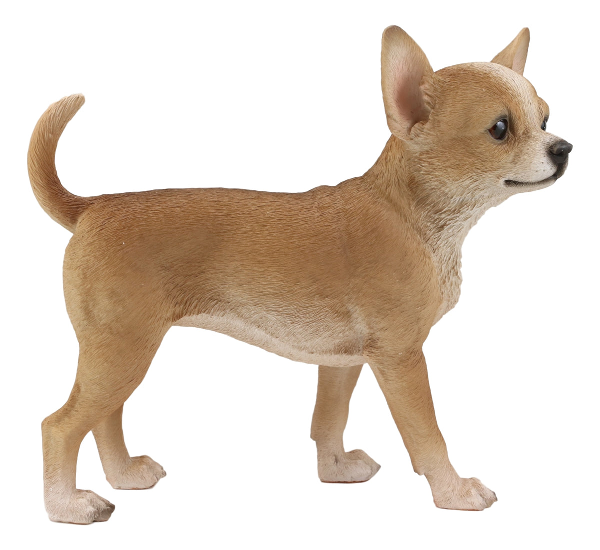 Lifelike Shorthair Deer Head Chihuahua Dog Statue 9.5"Long With Glass Eyes
