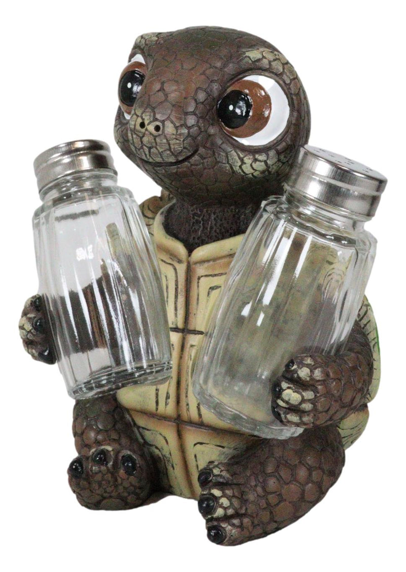 Turtle Shell Shakes Shell Spice Marine Baby Tortoise Turtle Salt And Pepper Shakers Holder ...