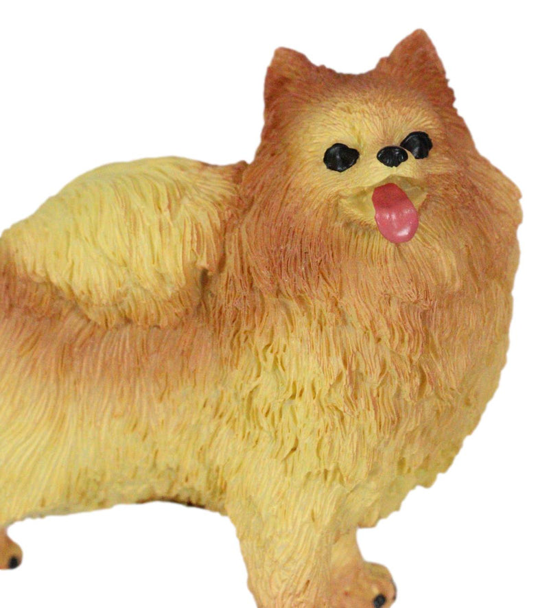 Lifelike Adorable Pet Pal Well Groomed Pomeranian Puppy Dog Miniature Figurine