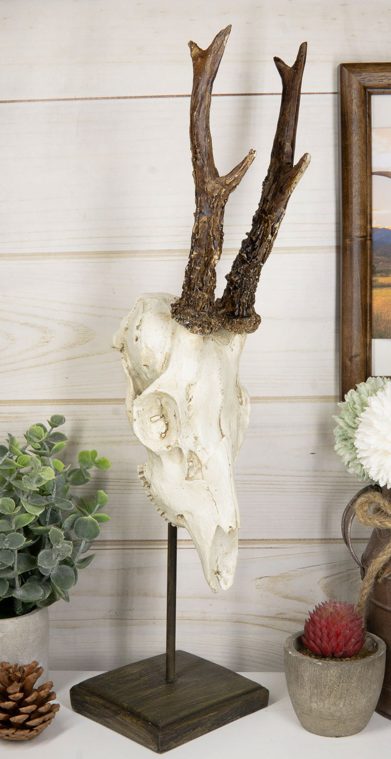 Large 15"H Rustic Roe Deer Buck Head Skull On Museum Pole Stand Base Figurine