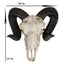 Large Bighorn Ram Skull Wall Decor 11" Wide Taxidermy Hanging Sculpture Plaque