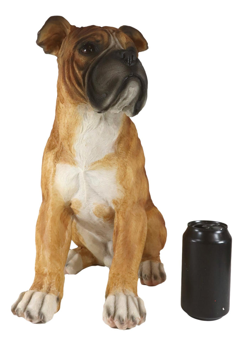 Large 16"H Adorable Realistic Sitting Fawn Boxer Muscle Dog Decorative Statue