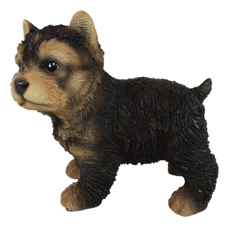 Realistic Yorkie Puppy Dog Figurine Pet Pal Yorkshire Terrier Collectible Decor