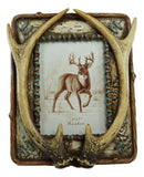 Rustic Western Buckhorn Stag Deer Antlers Easel Back 5X7 Picture Frame Sculpture