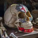 Ebros Knights of The Round Table King Arthur Skulls Sir Galahad Skull Figurine