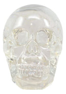 Ebros Clear Translucent Witching Hour Gazing Skull Statue 5.5"L Made Of Acrylic