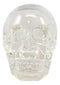 Ebros Clear Translucent Witching Hour Gazing Skull Statue 5.5"L Made Of Acrylic
