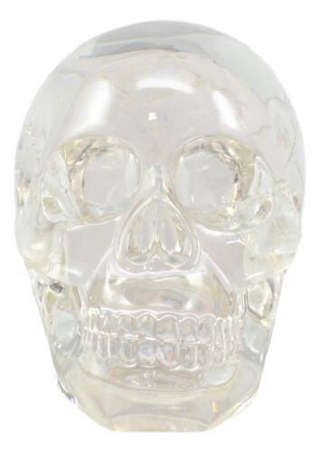 Ebros Clear Translucent Witching Hour Gazing Skull Statue 5.5"L Made Of Acrylic