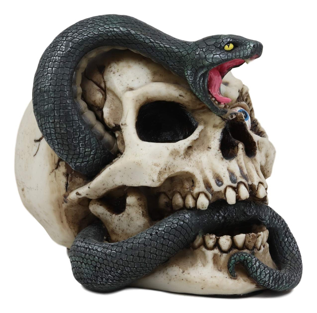Ebros Gift Large Hissing Black Mamba Venom Snake Skull with Bloodshot Eyes Figurine 7" L Gothic Macabre Serpent Skeleton Cranium 3D Statue Halloween Spooky Decor Day of The Dead Graveyard Sculpture