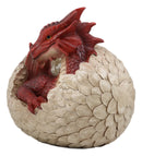 Ebros Large Smaug Red Baby Dragon Hatchling in Egg Statue 9.5" Long Dungeons Dragons Legends Fantasy Home and Garden Accent Decor Sculpture Medieval Renaissance Figurine Centerpiece